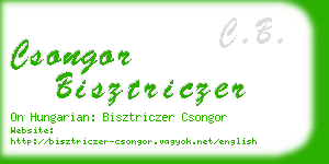 csongor bisztriczer business card